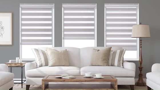 Mürekkep Dirençli Karanlık Çekil Bead Zebra Perde Mutfak İçin